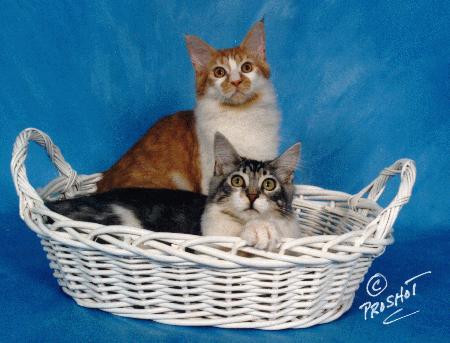 Buster's Boy with Brother